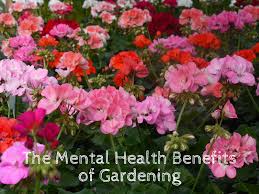 the mental health benefits of gardening
