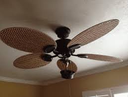 Be Cool Use Your Ceiling Fan Year Round