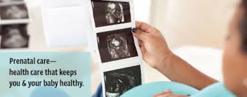 Prenatal Care Florida Department Of Health