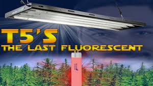 T5 Fluorescent Grow Light Review Vs Led Comparison Par And Heat Test