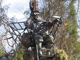 using crossbows in a treestand grand