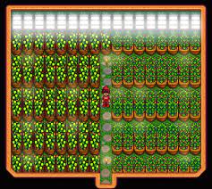 Friendship in stardew valley can be increased by gift giving. Shed Made Into A Greenhouse Stardewvalley