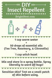 make your own diy insect repellent