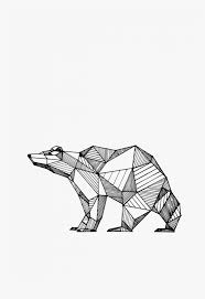 How to draw a realistic bear. How To Draw A Black Bear Face Realistic Polar Step Animal Geometric Line Art Hd Png Download Kindpng