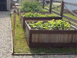 Use Pallets To Build Raised Garden Beds