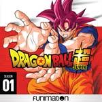 Looking for dragon ball super chosenshiretsuden vol.6 a? Buy Dragon Ball Super Season 1 Microsoft Store