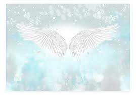 photo wallpaper angel wings and