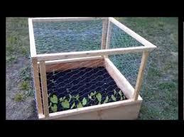 raised bed cages you