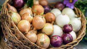 Onions linked to salmonella outbreak ...