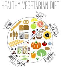 Vegetarian Food Chart Stock Illustrations 519 Vegetarian