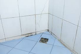 How To Remove Mould From Grout And Silicone