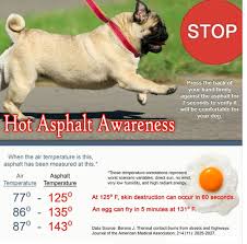 Adopt A Pet Com Blog Protecting Paws From Hot Pavement