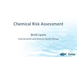 Chemical Risk Assessment Apeg