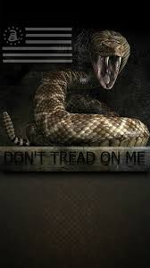 This flag is inspired by the gadsden flag of the revolutionary war when rattlesnake imagery was . Dont Tread On Me Flag Snake Hd Mobile Wallpaper Peakpx