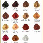 40 Premium Surya Hair Color Chart Yo61980 Haircolors