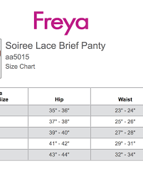 Freya Soiree Lace Brief Panty