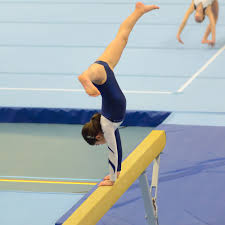 greatmats gymnastics competition landing mats blue 7 5x15 5 ft x 12 cm non fold