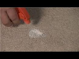 remove acrylic paint carpet stain how