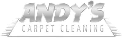 palmetto carpet cleaning andy s