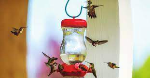 Diy Homemade Hummingbird Feeder Ideas