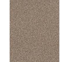 shaw pet perfect collection carpet