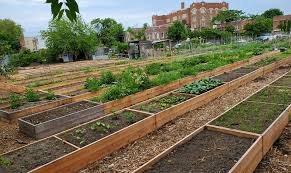 Greenthumb Community Gardeners