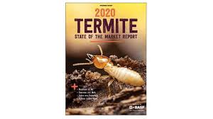 state of the termite market report