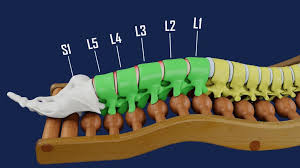 l5 s1 disc pain treatment options