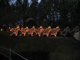 photo tr gilroy gardens holiday lights