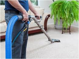 carpet cleaning universal pest control