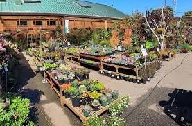 Sloat Garden Center Likely To Close For