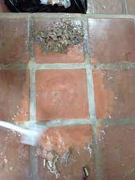 tile cleaning sealer stripping