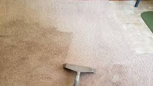 hill country carpet cleaners coupon