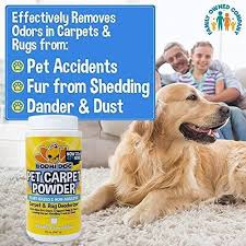 bodhi dog natural dog odor carpet