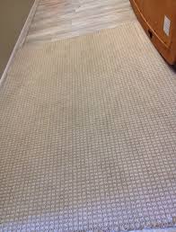 advice stainmaster petprotect carpet