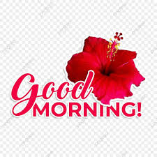 good morning wishes with red flower
