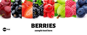 Berry Vectors Photos And Psd Files Free Download