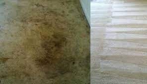 professional carpet cleaning service in