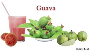 amazing health benefits of guava