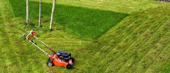 Bj lawn care services in st louis, mo. 4 Tips To Upscale Your Lawn Landscaping Service Reachoutsuite