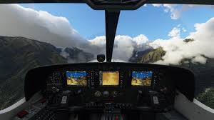 microsoft flight simulator will