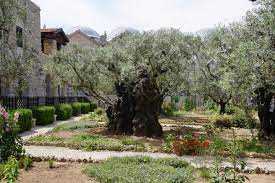 garden of gethsemane pilgrimage