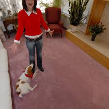 top 10 best carpet cleaning recommended