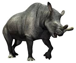 Embolotherium (meaning battering ram beast, or wedge beast) is an extinct genus of brontothere that lived in mongolia during the late eocene period. Megacerops Dinosaur Wiki Fandom