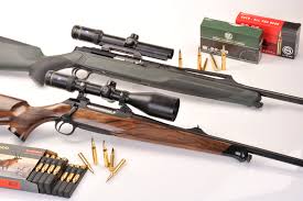 sauer 202 e 303 carbines go hunting