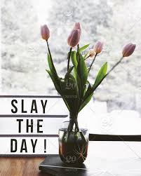 Flowers represent life, colours, intricacy and vibrancy. Slay The Day Mini Light Box Quote And Tulips Stock Photo F06f9500 A620 4d5a A40e 9f4efb24cc75