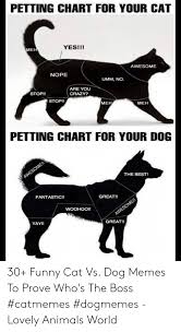 Petting Chart For Your Cat Yesi Eh Awesome Nope Umm No Are