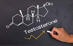 where is testosterone produced in males
