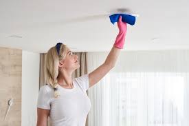 how to clean a popcorn ceiling pro