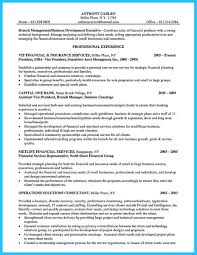 Starting Successful Career From A Great Bank Manager Resume